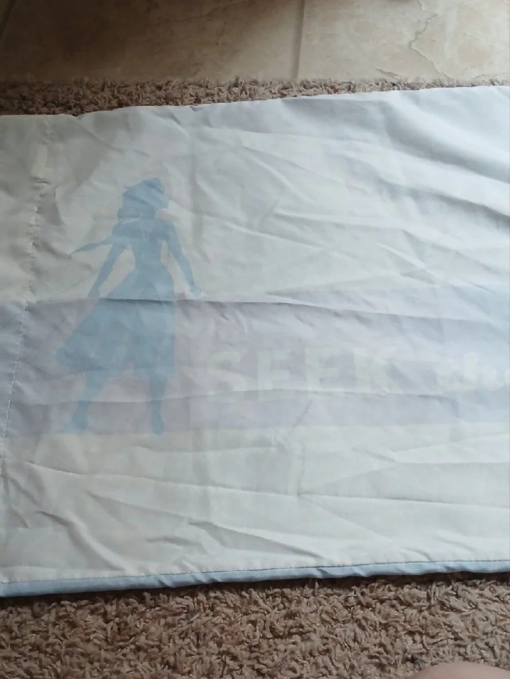 Light Blue Frozen Pillow Case